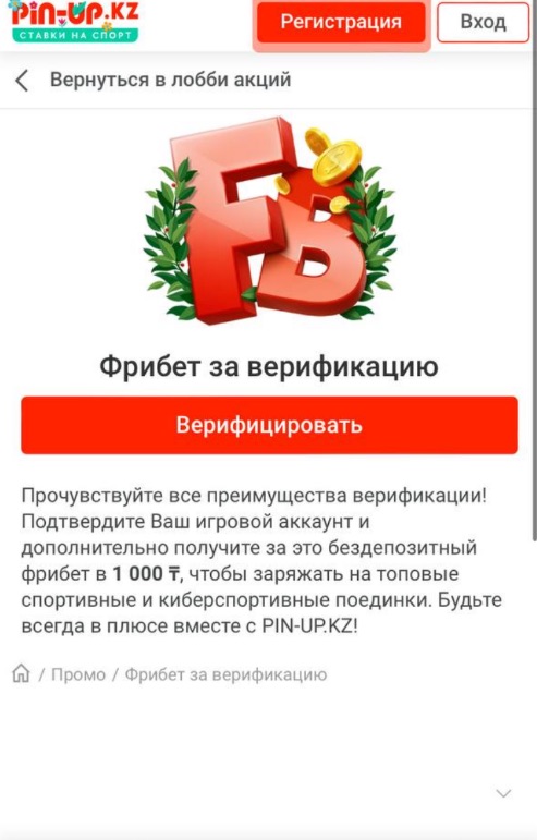 Описание фрибета за верификацию на сайте БК pin-up кз