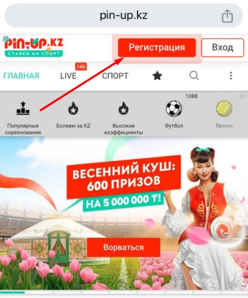 Кнопка регистрации pin up kz