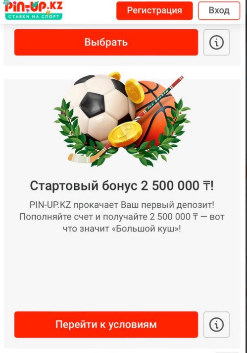 Выбор бонуса на сайте БК pin-up кз