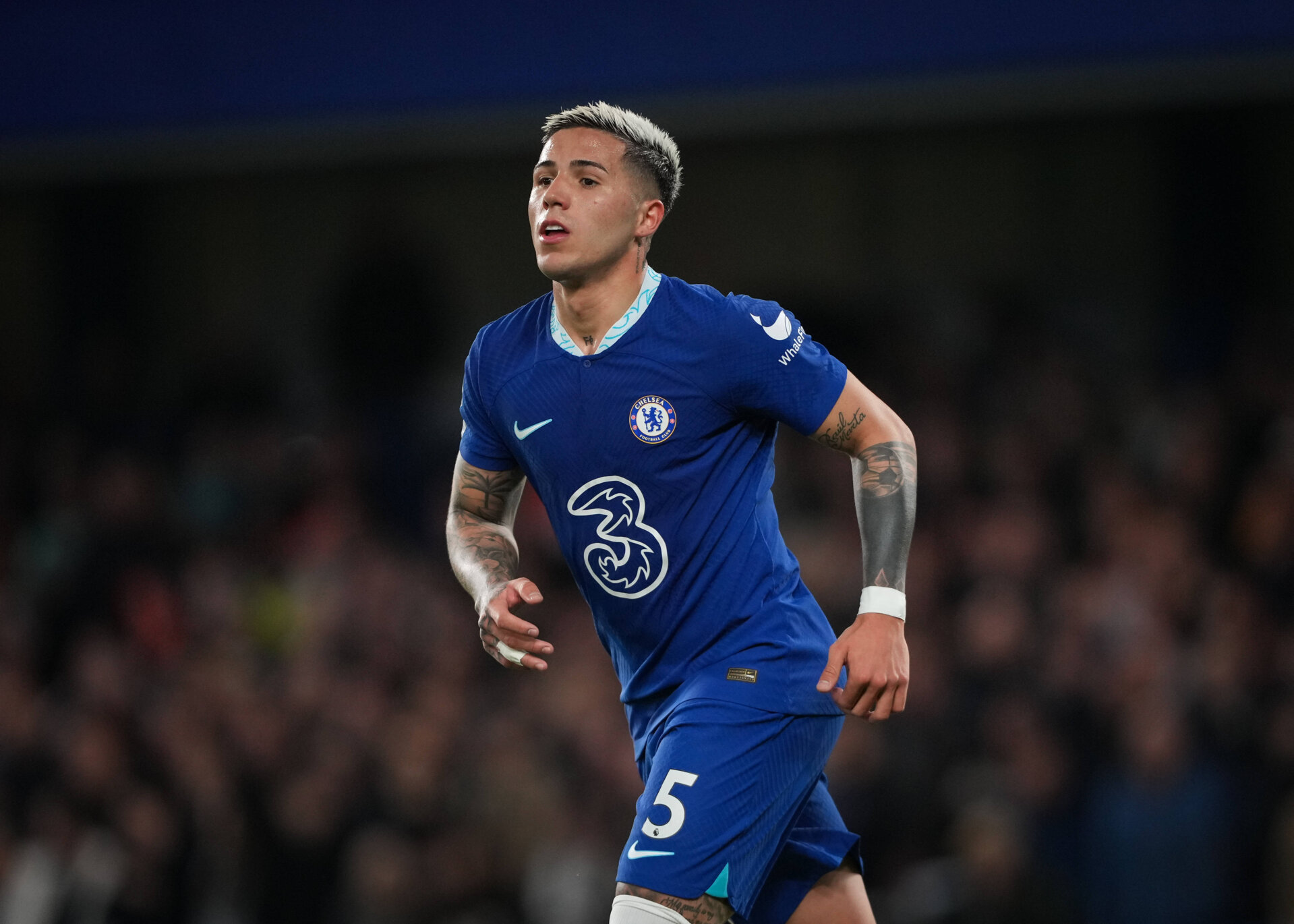 Энцо Фернандес