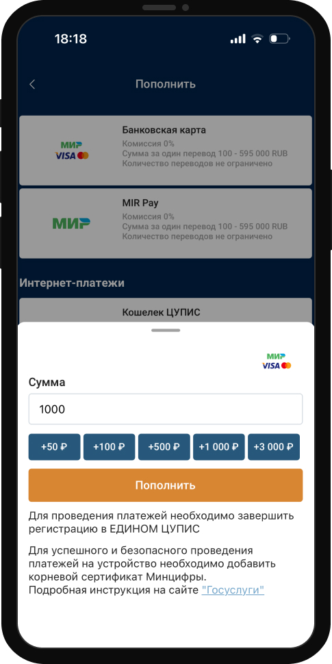 Пополнение счета в БК Зенит