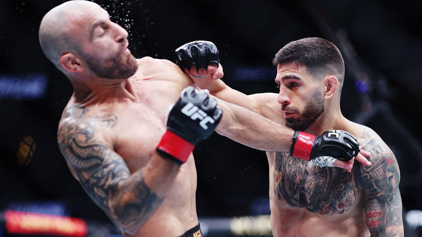 ��������� Golden Dragon ������: ����.