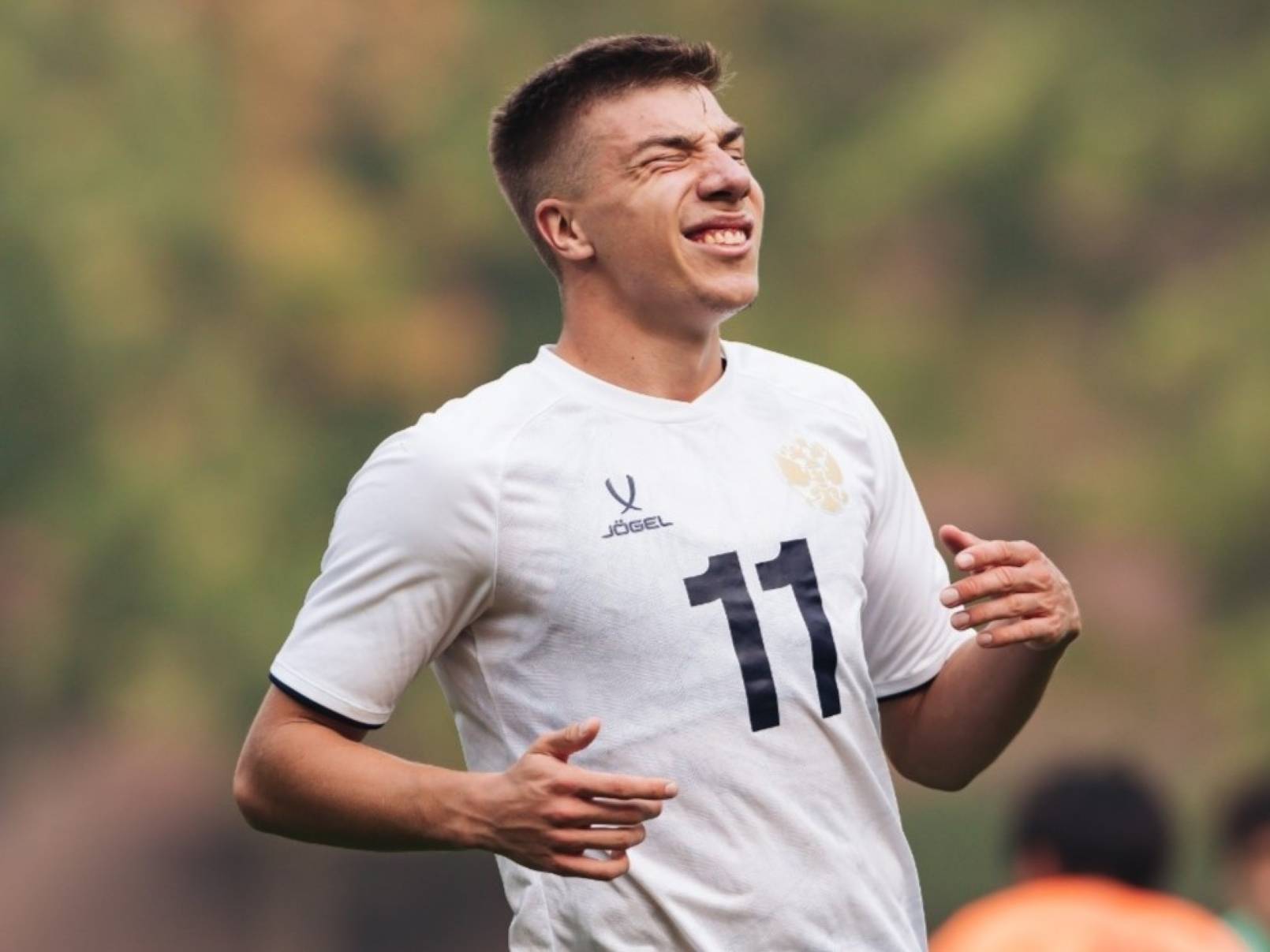 Игорь Дмитриев